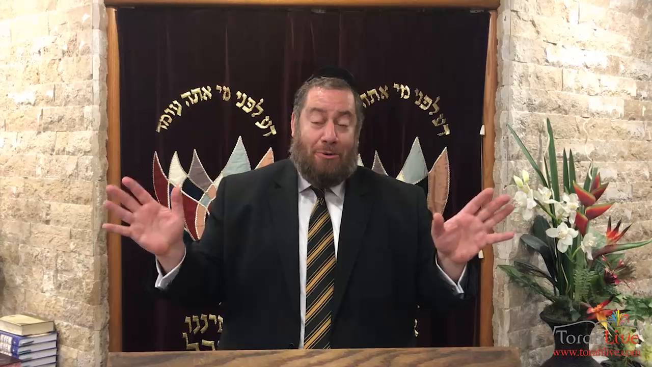 Rabbi Ephraim Shapiro
