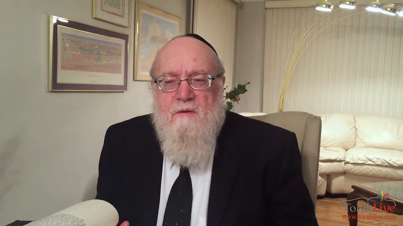 Rabbi Shmuel Irons