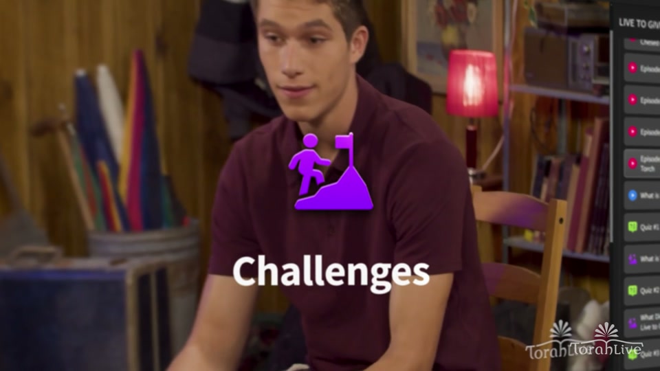 Challenges preview