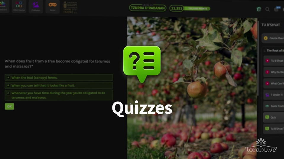 Quizzes preview