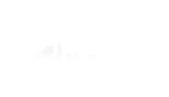 Sinai Schools